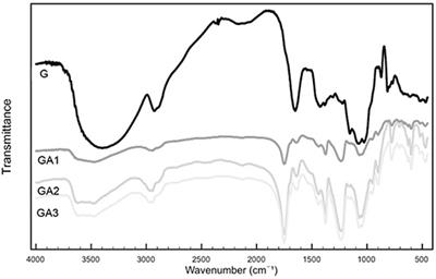 Amphiphilic Modified Galactomannan as a Novel Potential Carrier for Hydrophobic Compounds